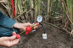 Sampling in-field soil pre water monitors to test for fertiliser leaching, NSW DPI 2008