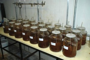 Biochar ammended soil, incubated in the laboratory under controlled temperature and light. NSW DPI