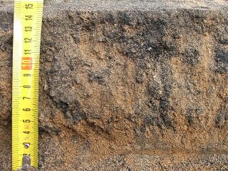 Biochar in soil profile